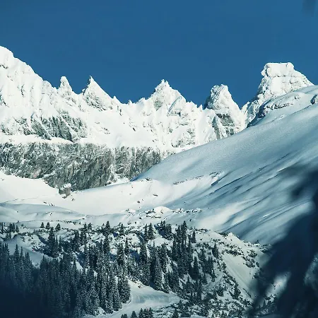 Chalet Edelweiss Casa Rondo Flims